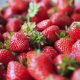 The Health Benefits of Strawberries